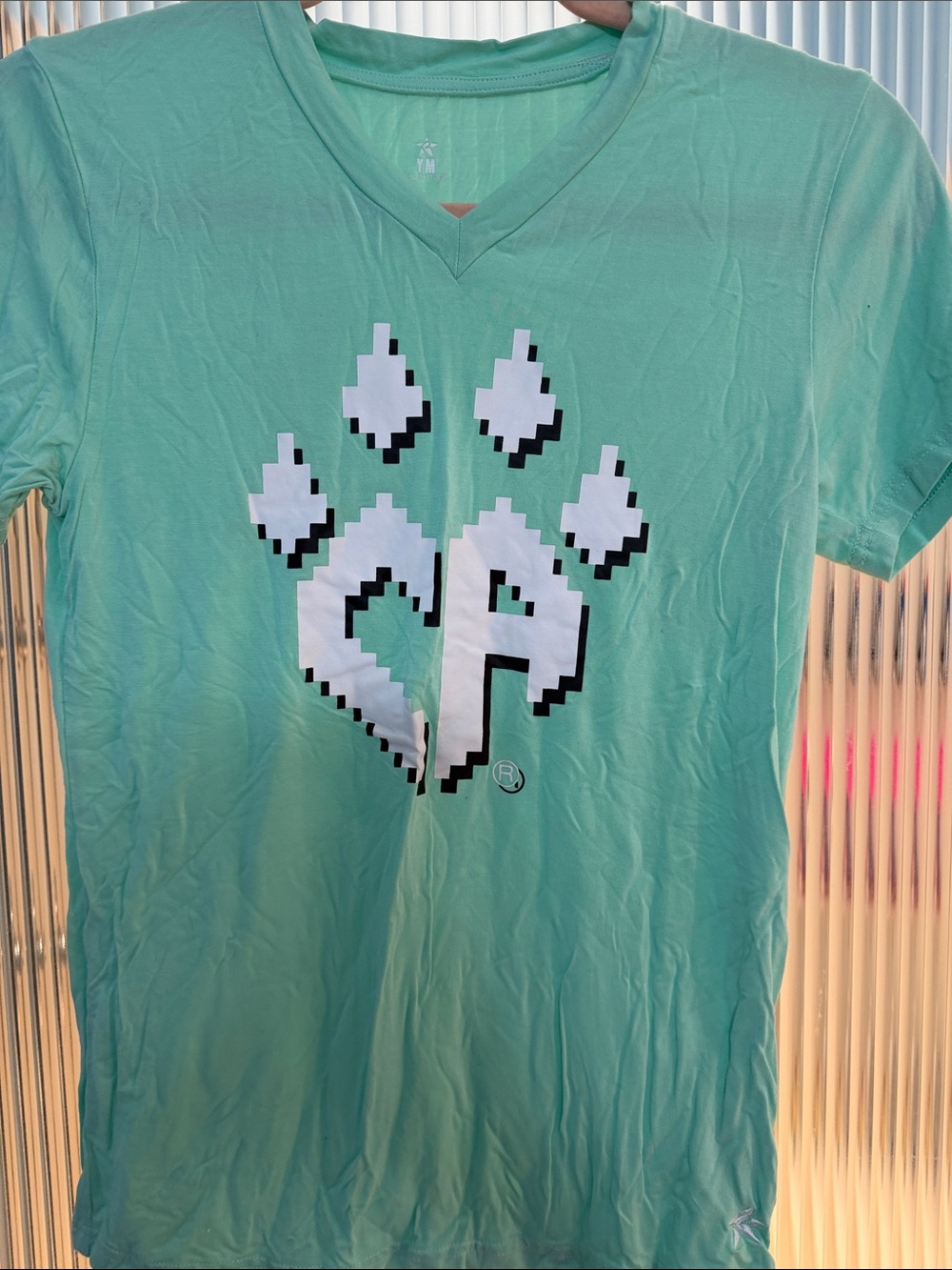SA Paw Pixel Logo Short Sleeve Tee - Mint Green
